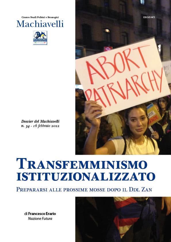 transfemminismo istituzionalizzato copertina